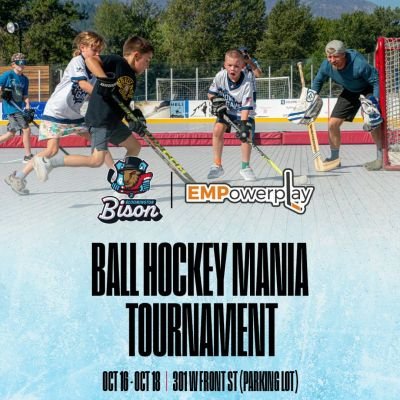 Ball Hockey Mania 1080x1080